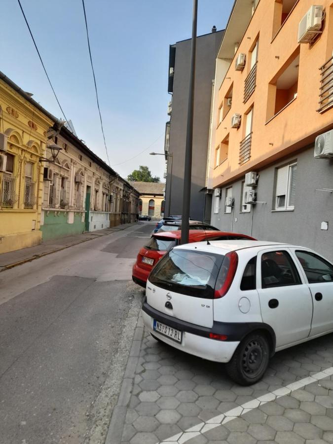 Apartment Nikola Ns *
